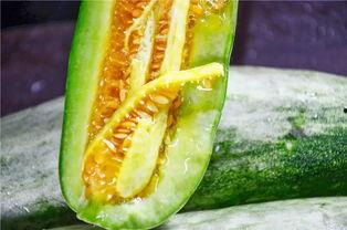 康县网红吃瓜,揭秘当地美食背后的故事