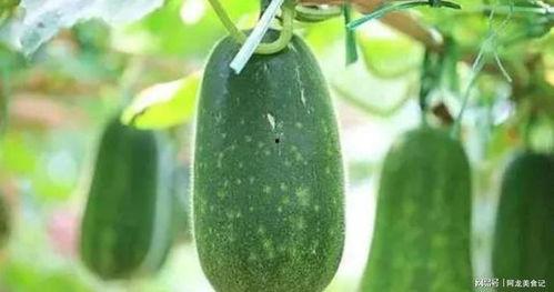 8月最新吃瓜,明星恋情、出轨、撕逼事件一览无余