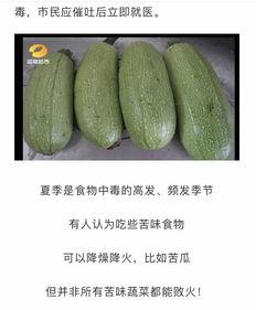 吃外地酉瓜注意什么,注意事项与美味分享