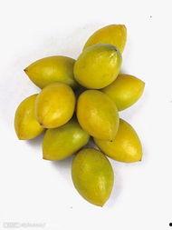 姓李吃瓜,李姓家族的瓜田奇遇记