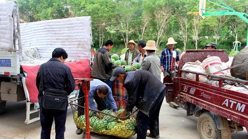 吃瓜群众岱岱新号,揭秘网络红人的崛起之路