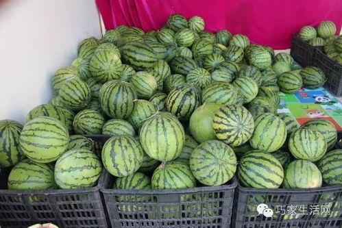 陈ber吃瓜,揭秘娱乐圈幕后真相