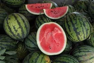 吃瓜金钱钱,揭秘娱乐圈的财富秘密