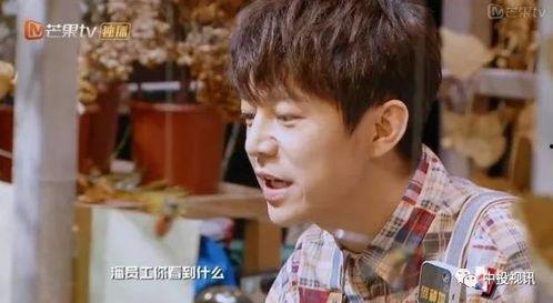 吃瓜明星大侦探,吃瓜明星大侦探的探秘之旅