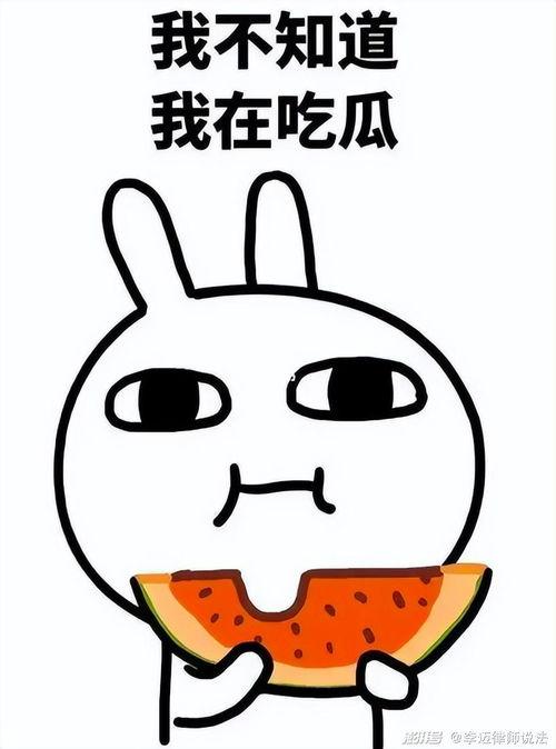 吃瓜q群6663766,一场网络社交的狂欢盛宴