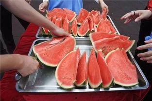 北辰吃瓜合集,揭秘娱乐圈那些不为人知的幕后故事