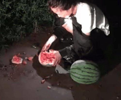 偷瓜被抓吃瓜犯法吗