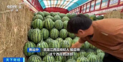 居然吃瓜,揭秘娱乐圈那些不为人知的幕后故事