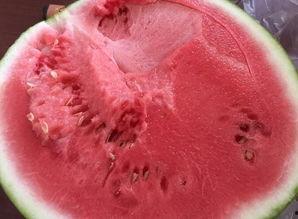 i吃瓜论坛,揭秘娱乐圈最新热点，带你领略八卦风云