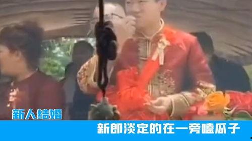 新郎婚前吃瓜,揭秘新郎的甜蜜秘密