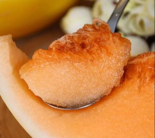 吃金蜜瓜发烧,探寻发烧背后的甜蜜奥秘