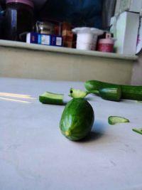 防老鼠吃瓜方法,揭秘防老鼠吃瓜的神奇方法