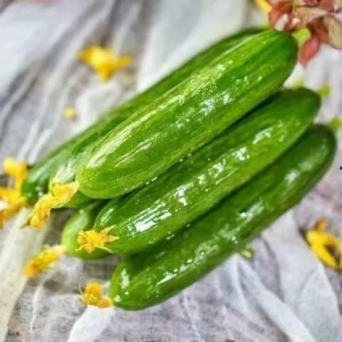 河南吃瓜季节详细指南