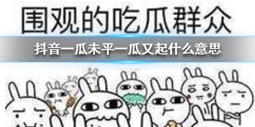 抖音吃瓜群在哪里看,带你一探究竟