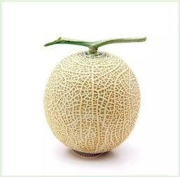 维达吃瓜,揭秘娱乐圈幕后故事