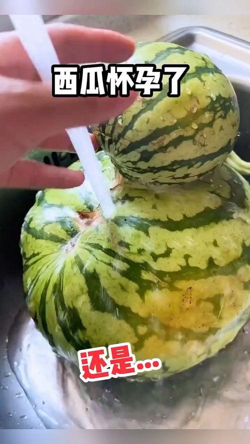 吃瓜视频高清,高清画质下的娱乐盛宴  第2张