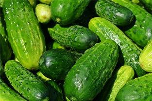 梦见偷面瓜吃,偷面瓜的奇幻之旅