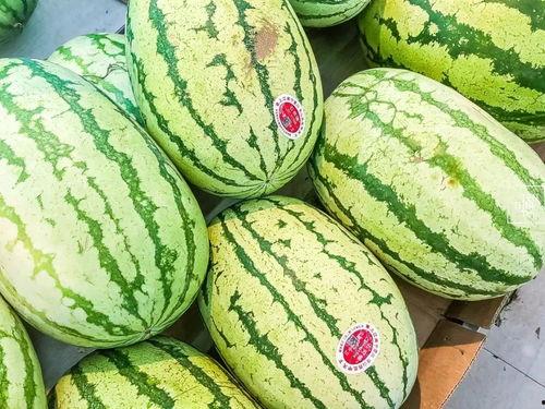 吃瓜为什么又叫杀瓜呢