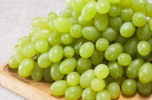 提子视频吃瓜事件,揭秘网络舆论的狂欢与反思 第2张 提子视频吃瓜事件,揭秘网络舆论的狂欢与反思 第2张