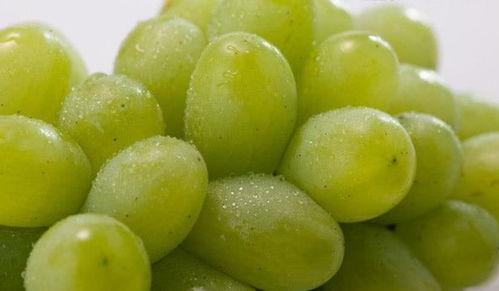 提子视频吃瓜事件,揭秘网络舆论的狂欢与反思 第3张 提子视频吃瓜事件,揭秘网络舆论的狂欢与反思 第3张