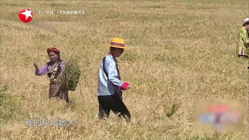 大头吃瓜群众,揭秘网络热议背后的真相与笑料  第3张