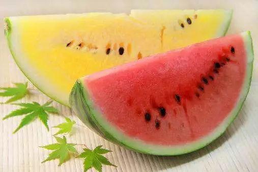 吃高端瓜自媒体,吃瓜群众如何品味人生百态