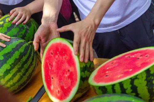 吃瓜大学  第3张