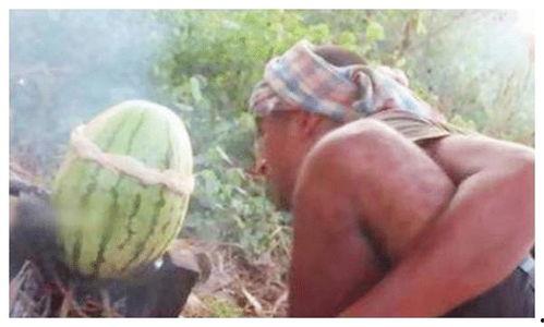 印度人如何吃瓜,瓜果飘香中的独特饮食文化  第3张