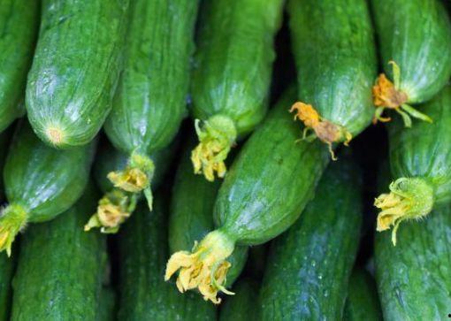 小瓜心可以吃吗 第3张 小瓜心可以吃吗 第3张