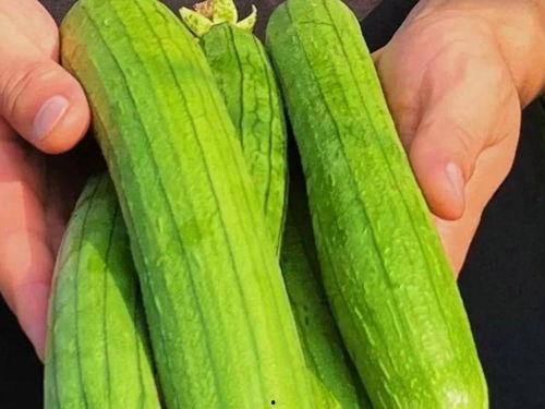 清辞在线吃瓜,揭秘网络热点的背后故事  第3张